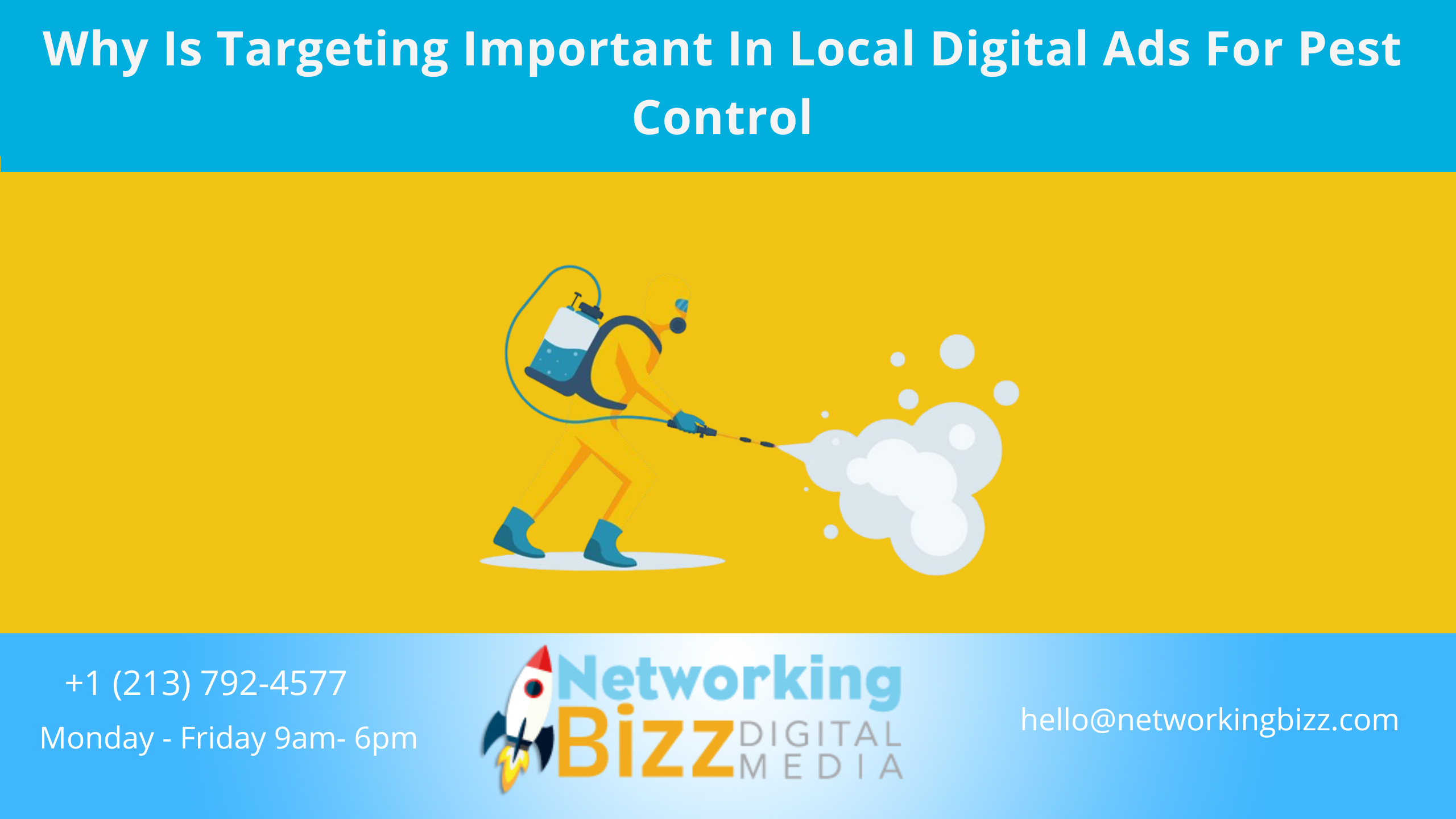 Why Is Targeting Important In Local Digital Ads For Pest Control